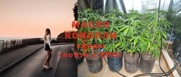 стаф Няндома