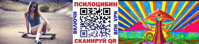 Галлюциногенные грибы Psilocybe  omg маркетплейс  Заполярный  даркнет сайт 